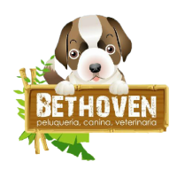 (c) Bethoven.com.co