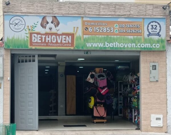 Médico veterinario Médico veterinario