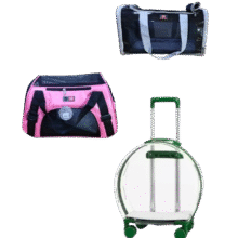 – Maletín de Transporte