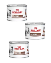 ROYAL CANIN Recovery alimento humedo