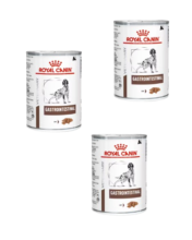 ROYAL CANIN Gastrointestinal perro