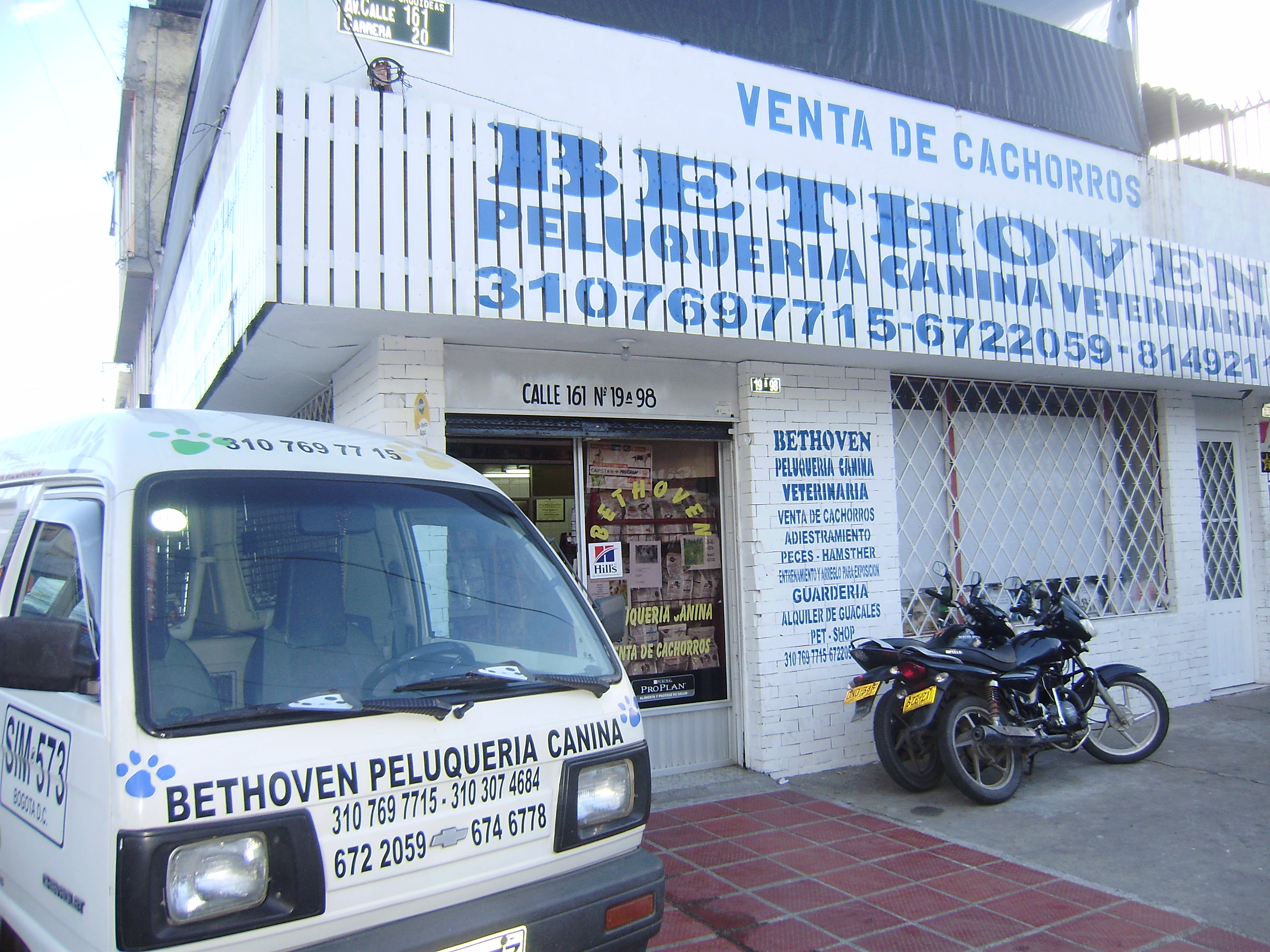Local - Tienda física