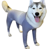 Protector de extremidades para perro