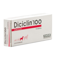 Diciclin 100
