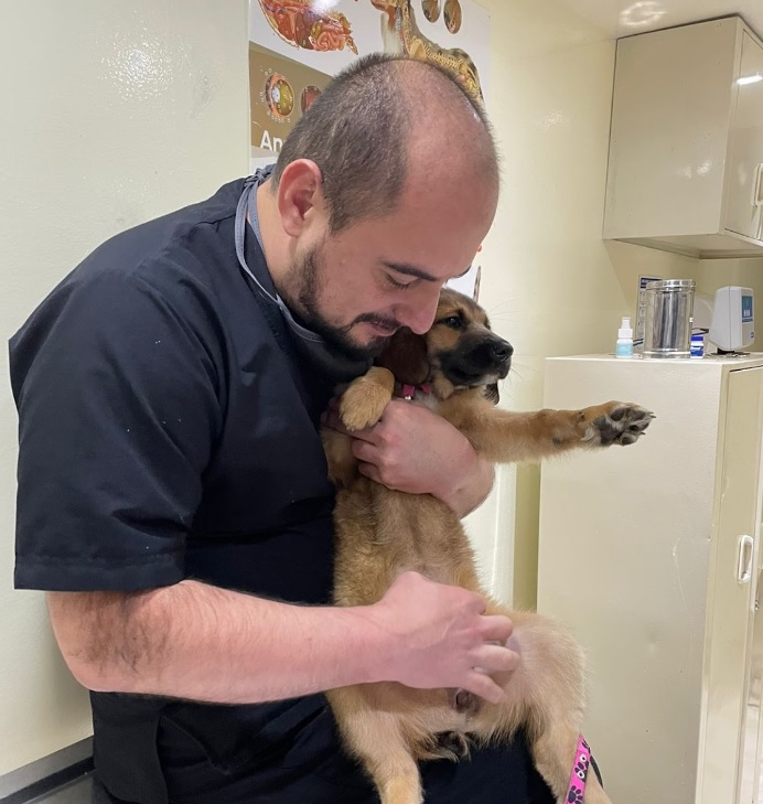 Médico veterinario Médico veterinario